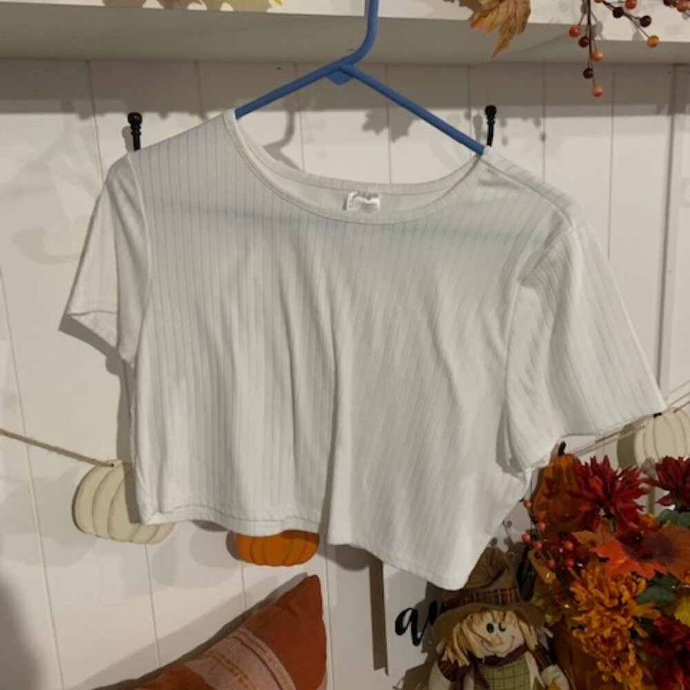 White Crop Top